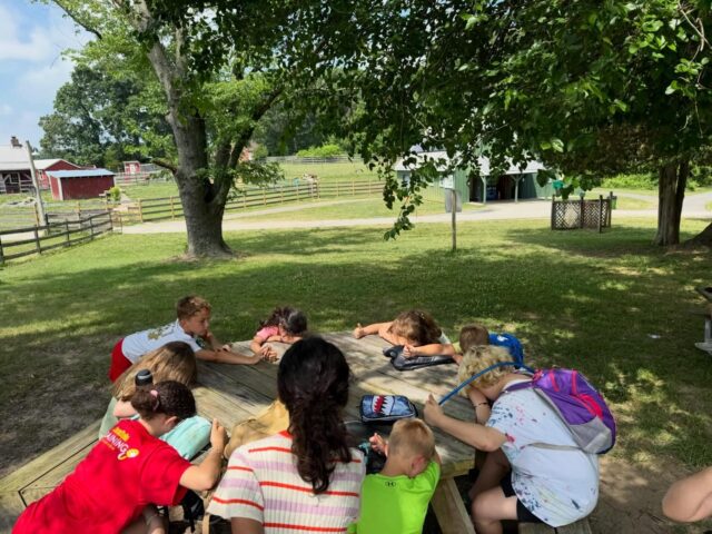 School’s out for summer! 🌞 … And we have last-minute openings for fan-favorite Bike Adventure Camp in Severna Park next week! (9-3:30, 6/22- 6/27)

For independent riders ready to put in some miles to exciting destinations each day- sing karaoke at @b2rsevernaparkmd , create @blendedessentials , yoga, movies, water play & more… the most fun week of the summer! Register at pedalpowerkids.com
